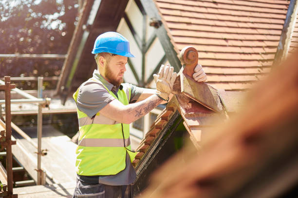 Best Roof Gutter Cleaning  in Eveleth, MN