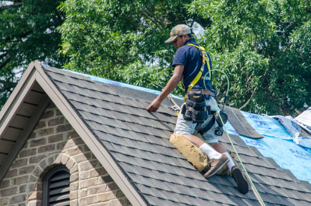 Best Roof Gutter Cleaning  in Eveleth, MN
